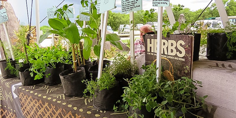 Angies Herb Stall