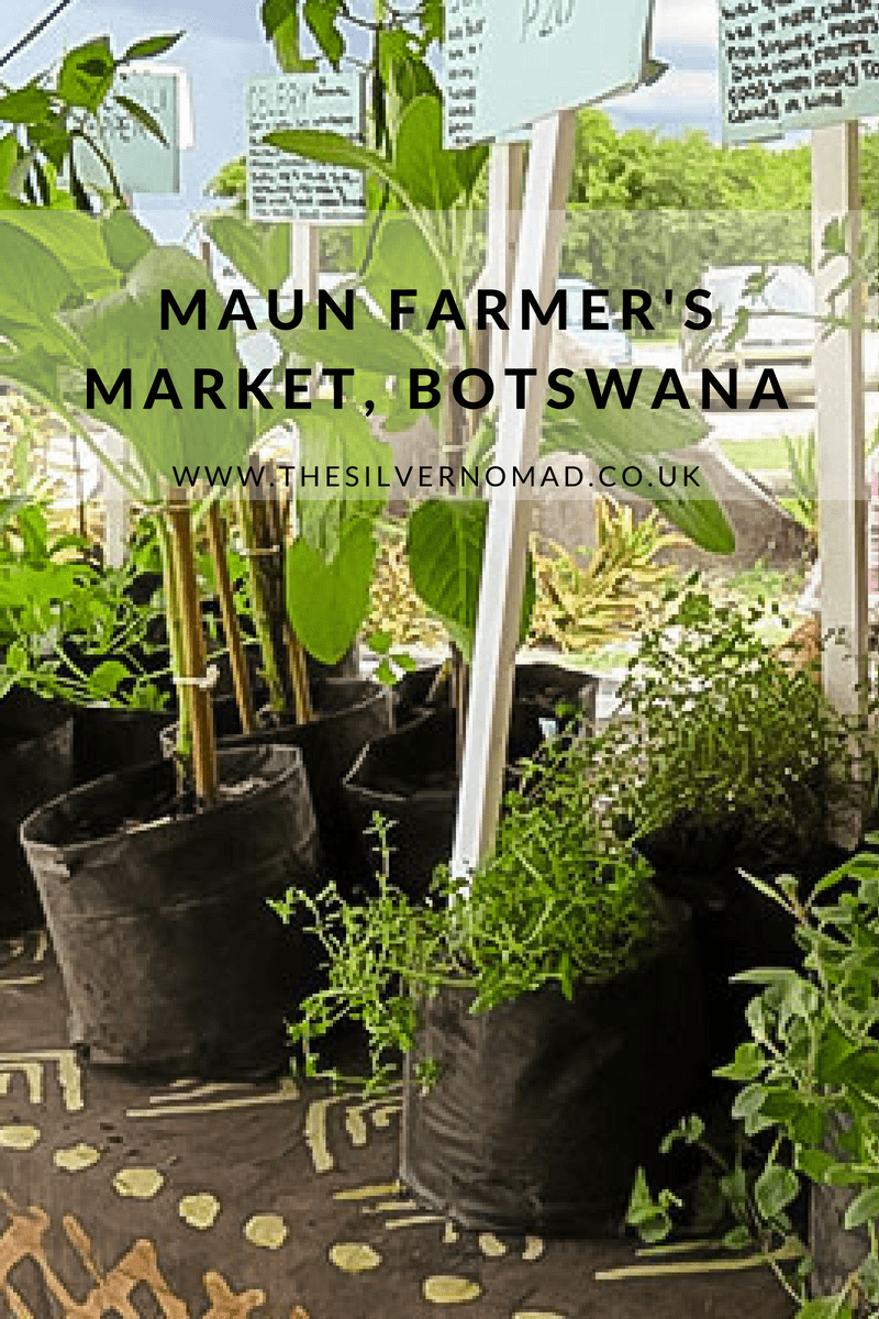 Maun Farmers Market Botswana | The Silver Nomad