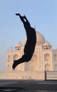 Larch Silhouette at Taj Mahal