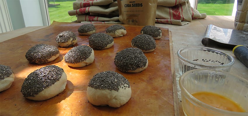 Nutrenergy chia seeds topping the rolls