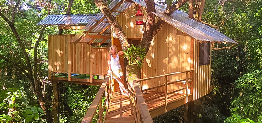 The outside of the treehouse