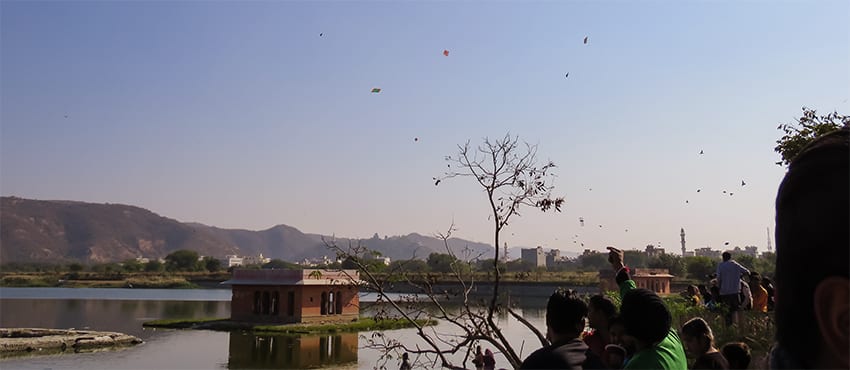 Kite Festival at Jal Mahal
