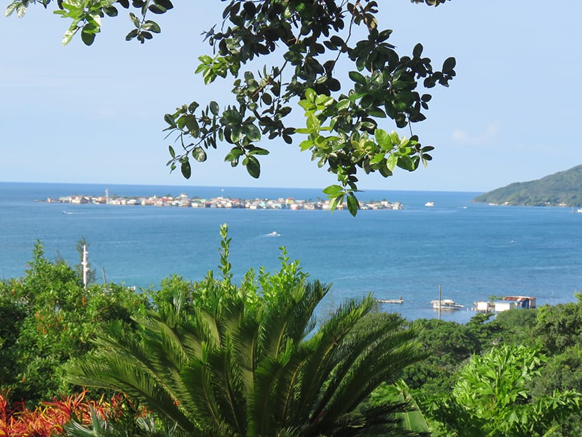 The view of the Cay, the sea and lush planting that greeted us in the mornings on Guanaja
