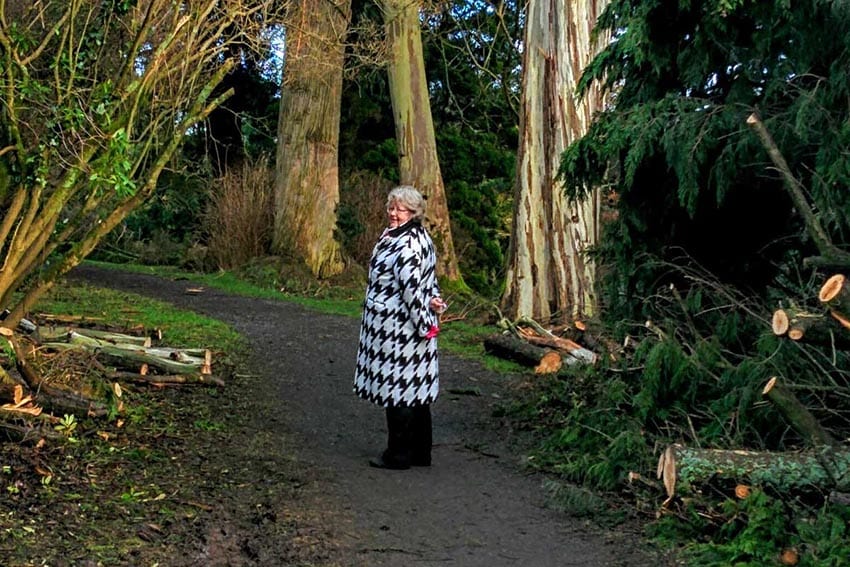 Lady wearing a black and white houndstooth coat and black trousers standing next to some trees and cut logs