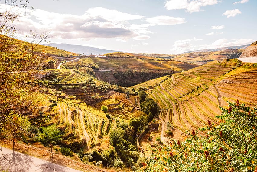 The Douro Valley in Portugal showing rolling hills