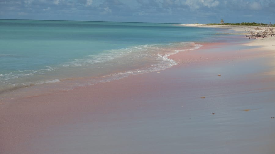Pink Beach on Barbuda 2