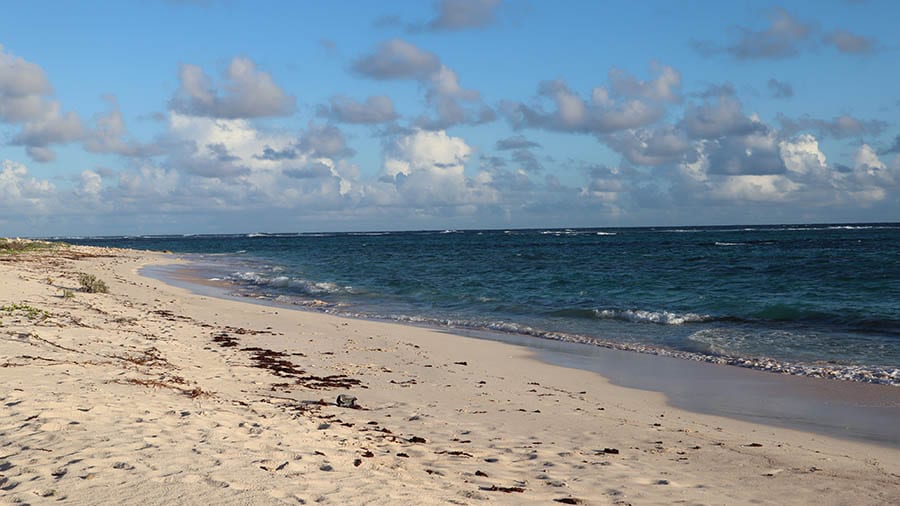 beach on Barbuda