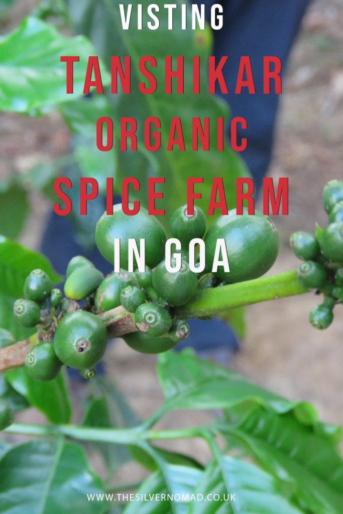 A visit to Tanshikar Spice Farm in Goa