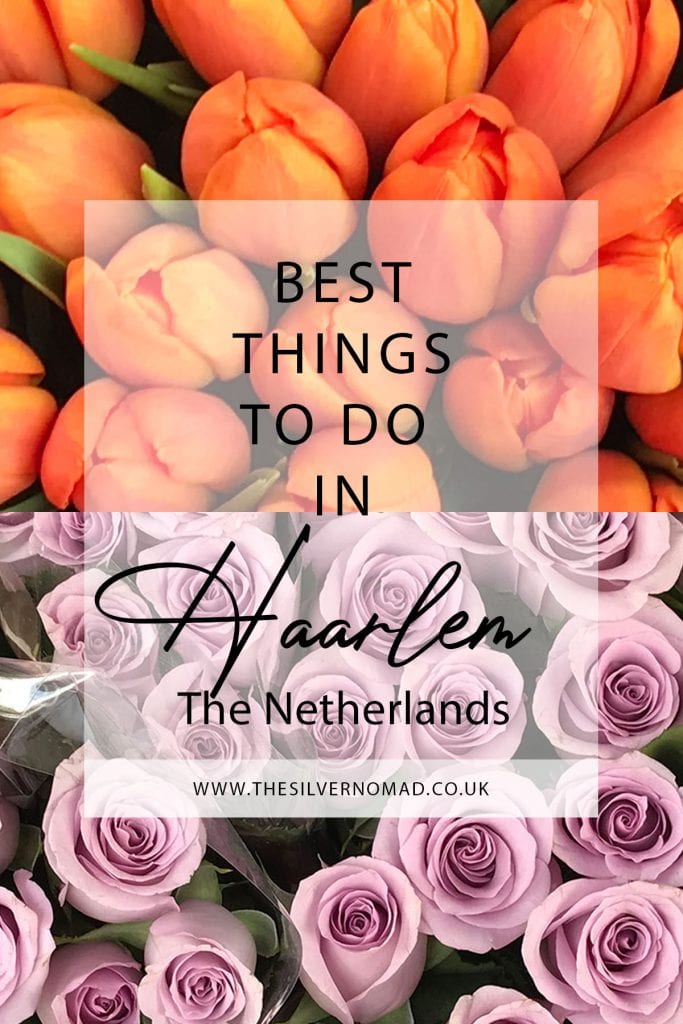 Best Things to do in Haarlem flowers 1