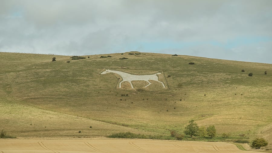 Alton Barnes White Horse 900