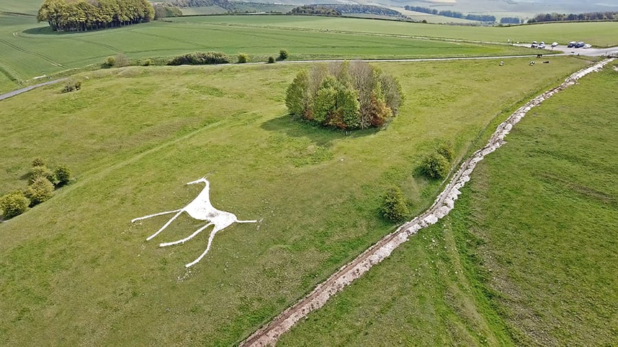 Hackpen White Horse from Above 1