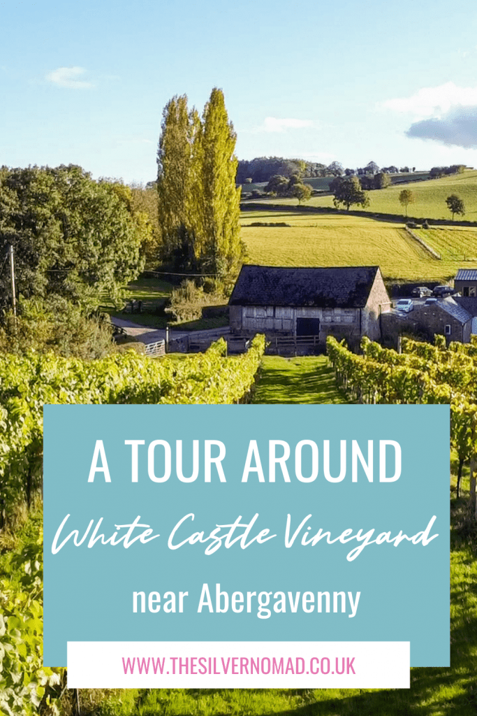 A Tour around White Castle Vineyard
