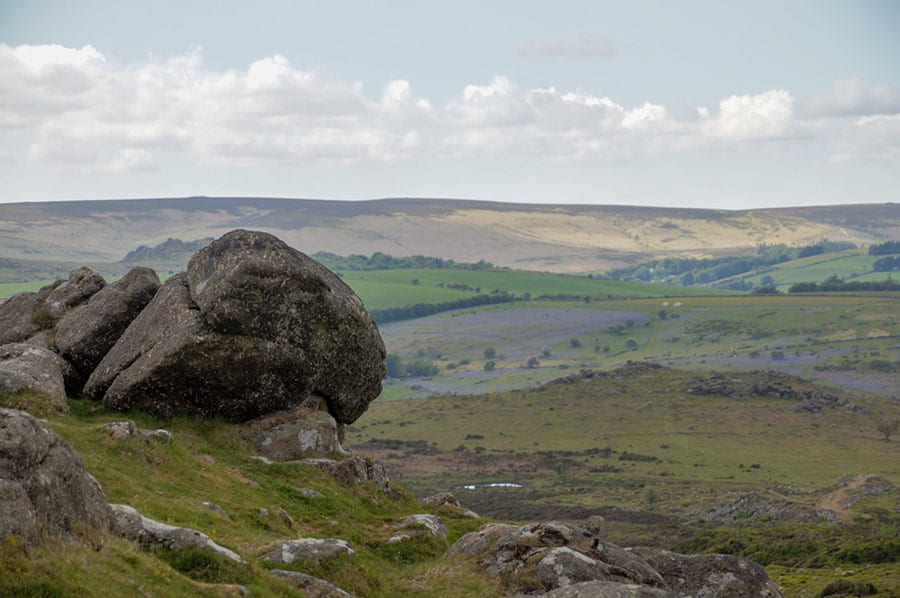stone in the foreground with fields of green and purple in the background