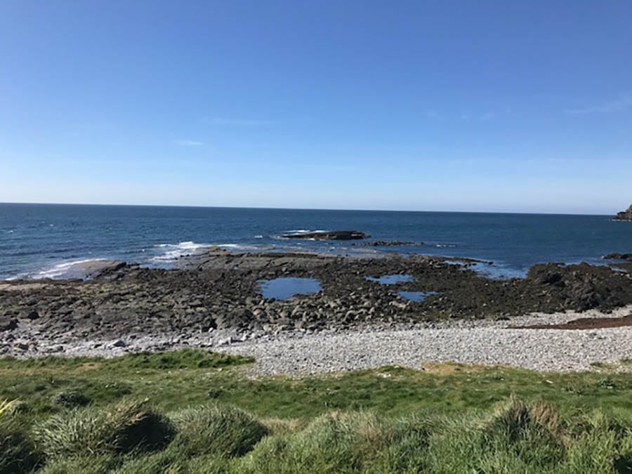 sea with rock pools and grass in the foreground