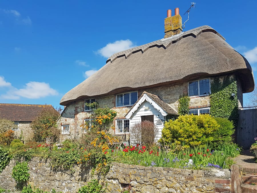 Thatched cottage with stone walls and garden with red tulips