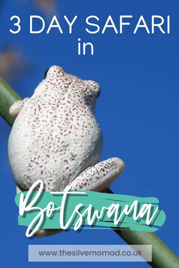 3 Day safari in Botswana