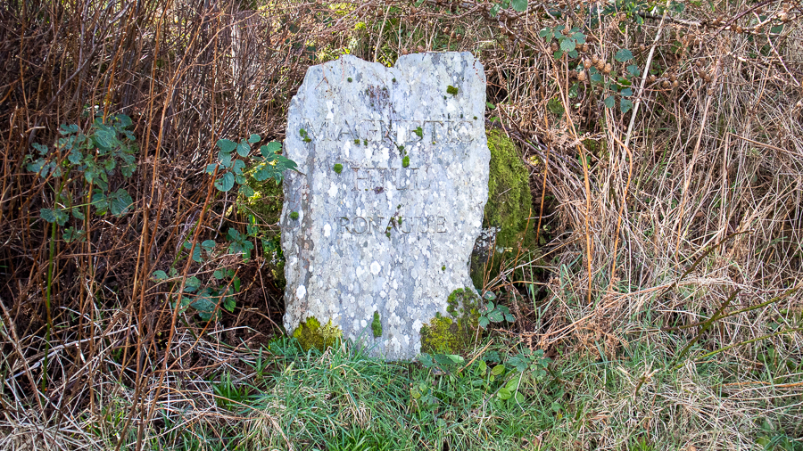 Stone marker saying Magnetic Hill Ronague surrounded by brambles