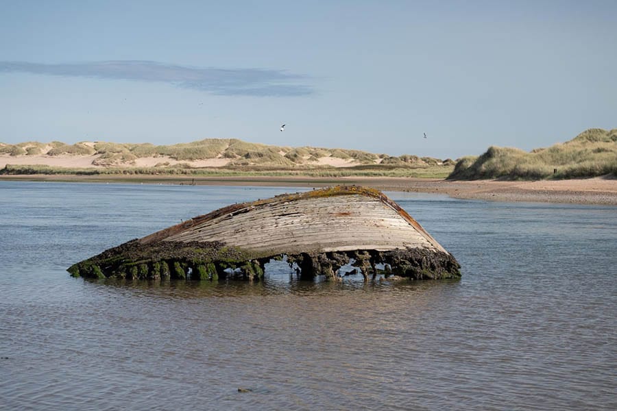 old wooden hull of boat covered in lichen with dunes in the background