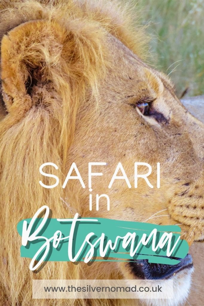safari in Botswana