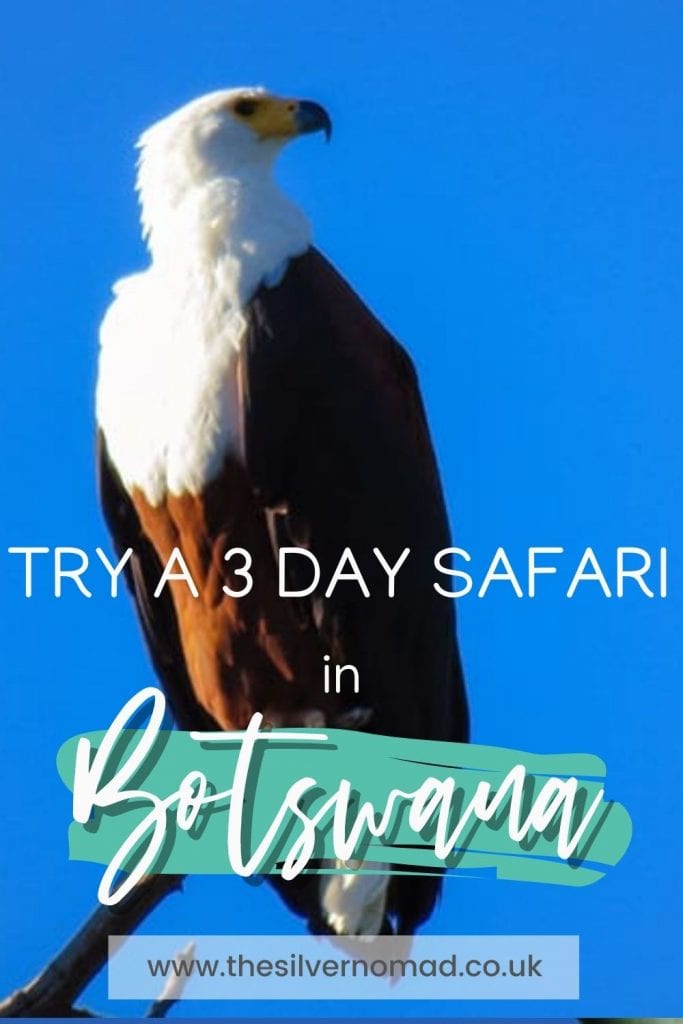 try a 3 Day safari in Botswana