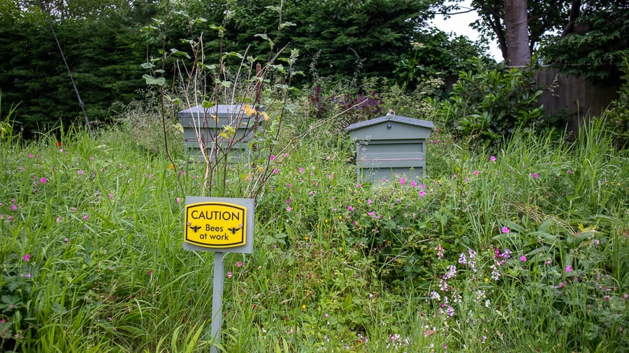 bees at Burleigh Court Hotel