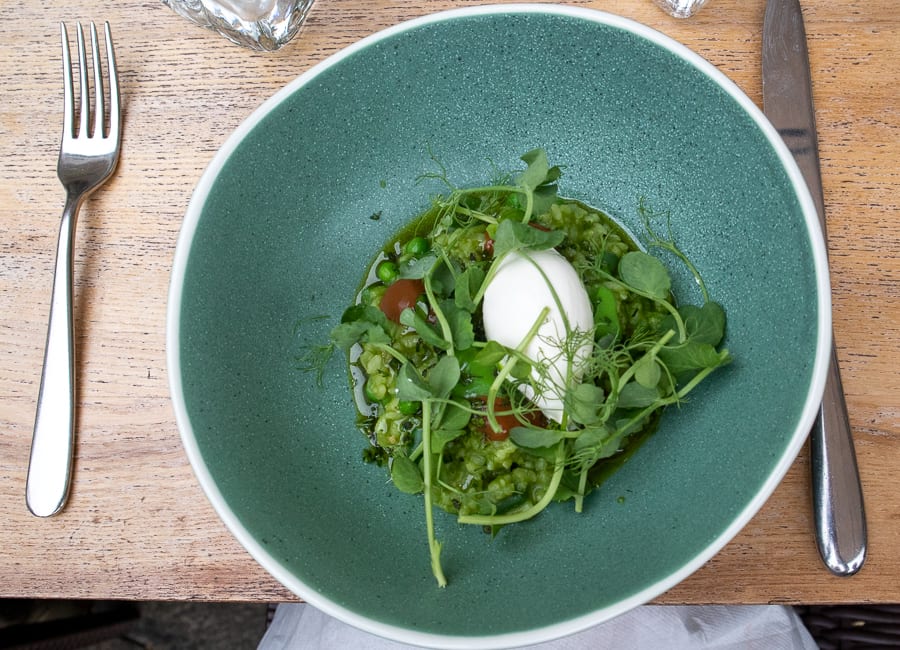 blue dish with green risotto and peashoots with peas and white mascarpone