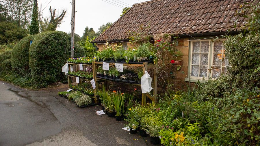Flowers stall outside a house