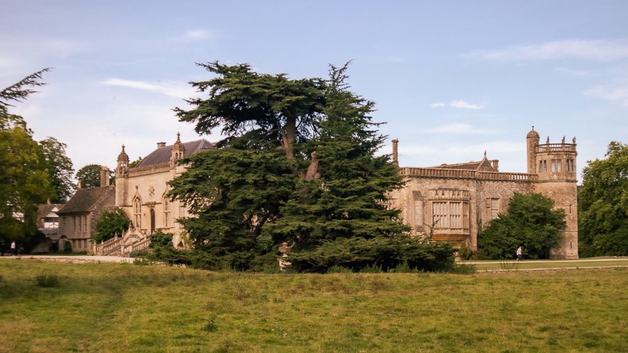 A large yew tree in front of Lacock Abbey