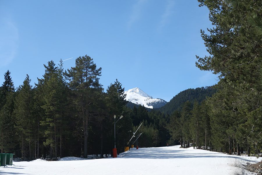 Bansko ski run with mountains in the background and pine trees