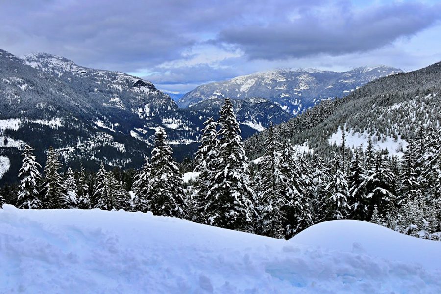 Whistler with snow and snow covered trees and mountains