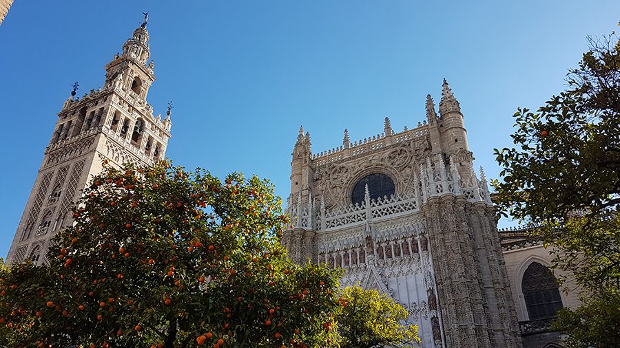 Giralda and Cathedral with almost lace effect carving and decorations on the towers against a blue sky