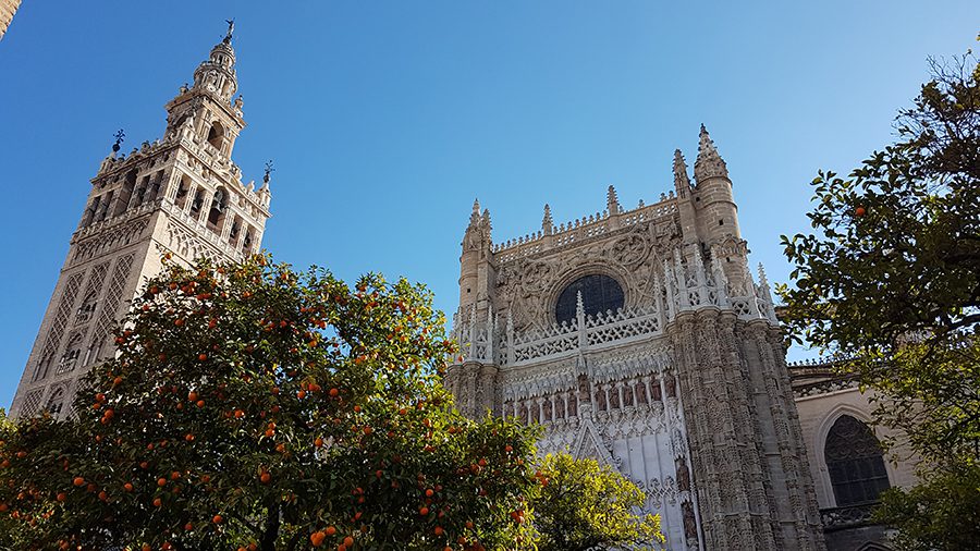 Giralda and Cathedral with almost lace effect carving and decorations on the towers against a blue sky