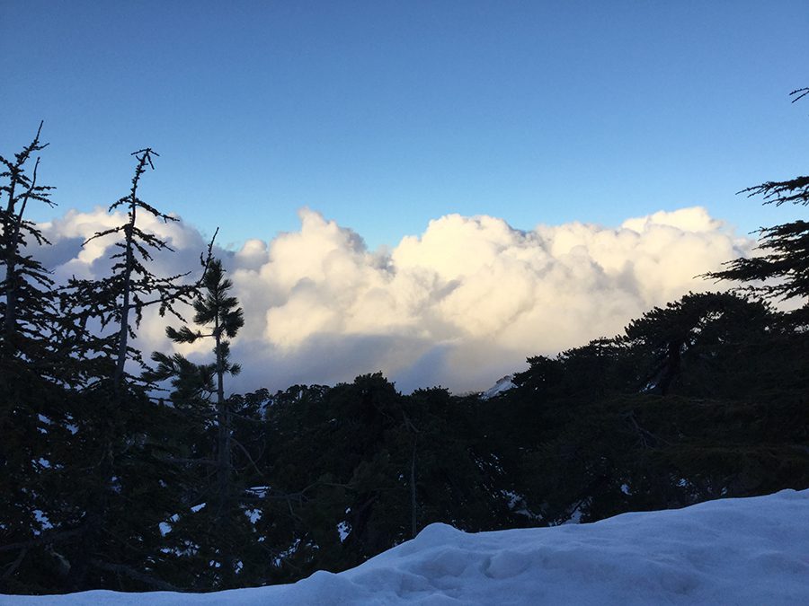 snow covered mountains with pine trees and large clouds behind