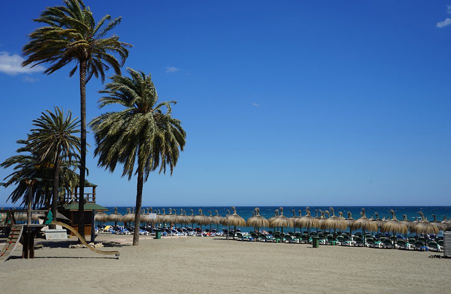 Beach at Marbella with 4 palm trees and beach umbrellas looking like upturned coconuts