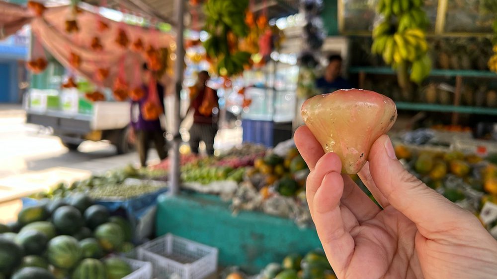 One of the unusual fruits available in Sri Lanka, a pinky-orange heart shaped jambu fruit with a blurred out background of a fruit stall