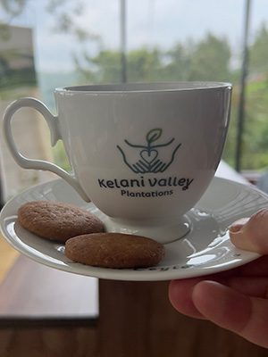 Cup of tea with Kelani Valley plantations on it. Two ginger snaps on the side of the saucer