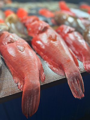 3 fresh red snapper on a bench with a blurred background