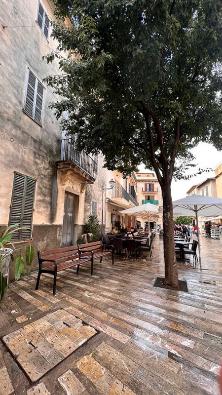 Seating in Alcudia Old Town with tree in front