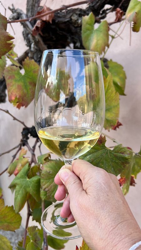 Son Simo Vello White Wine against the vine leaves