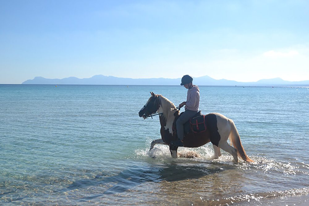piebald horse walking through the sea with hills behind