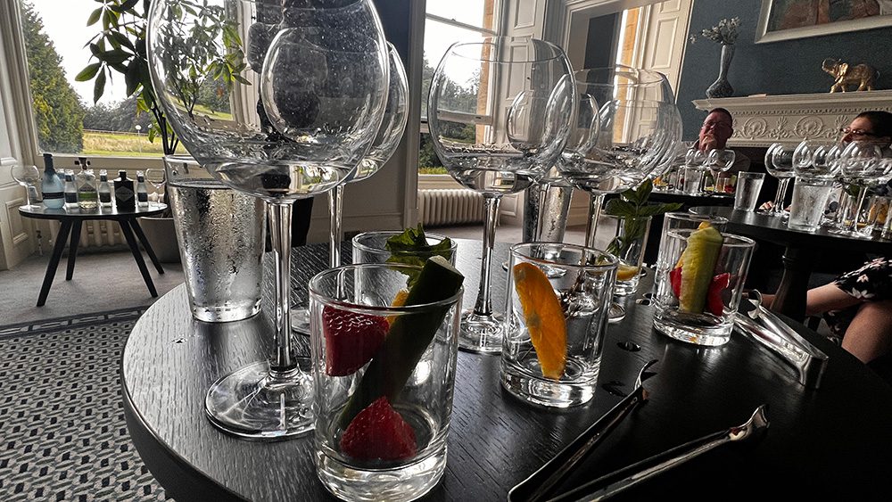 Gin tasting with six glasses of gin and glasses with accompaniments including strawberries, cucumber, and orange