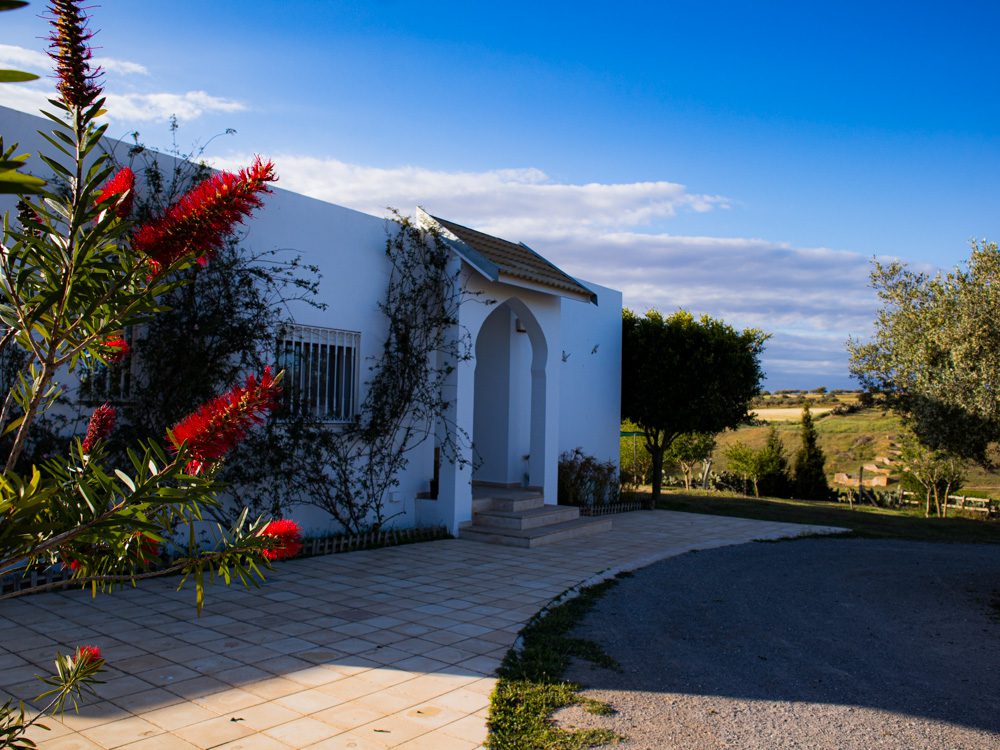 White house with tiled patio in front and red plant in the left foreground - the home of Lamia and base for Sawa Taste of Tunisia
