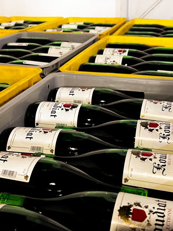 Wine bottles in crates with Koudiat labels