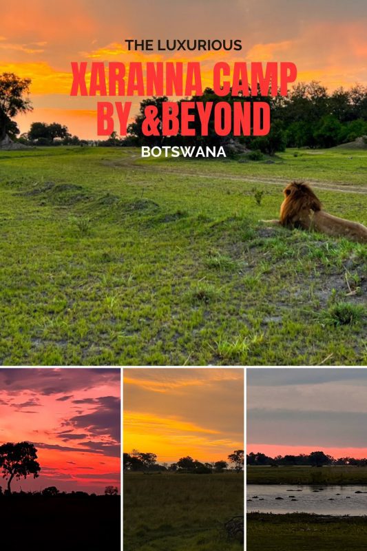 The Luxurious Botswana 3
