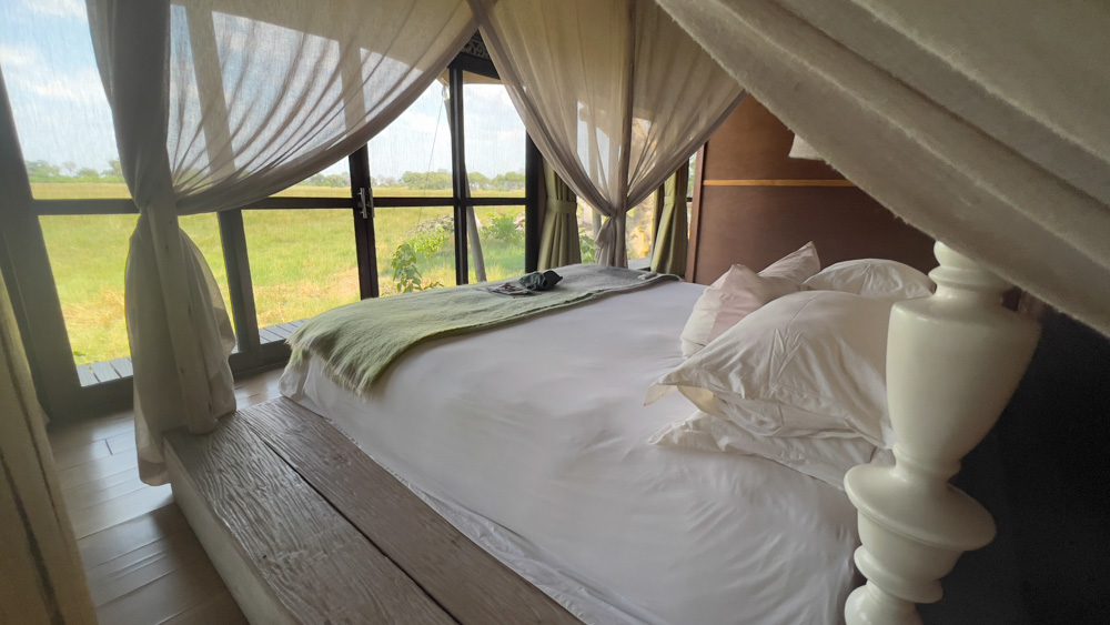 view out of the window from the bed which has white sheets and draped curtains