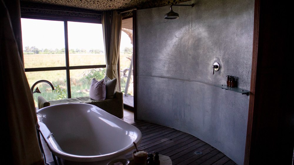 the bath and shower with a view