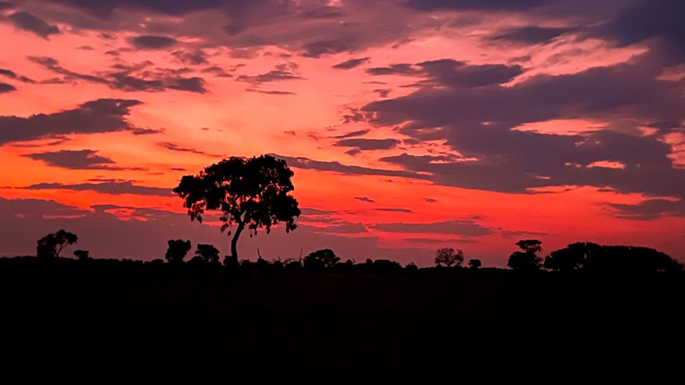 Xaranna Camp by Beyond 14