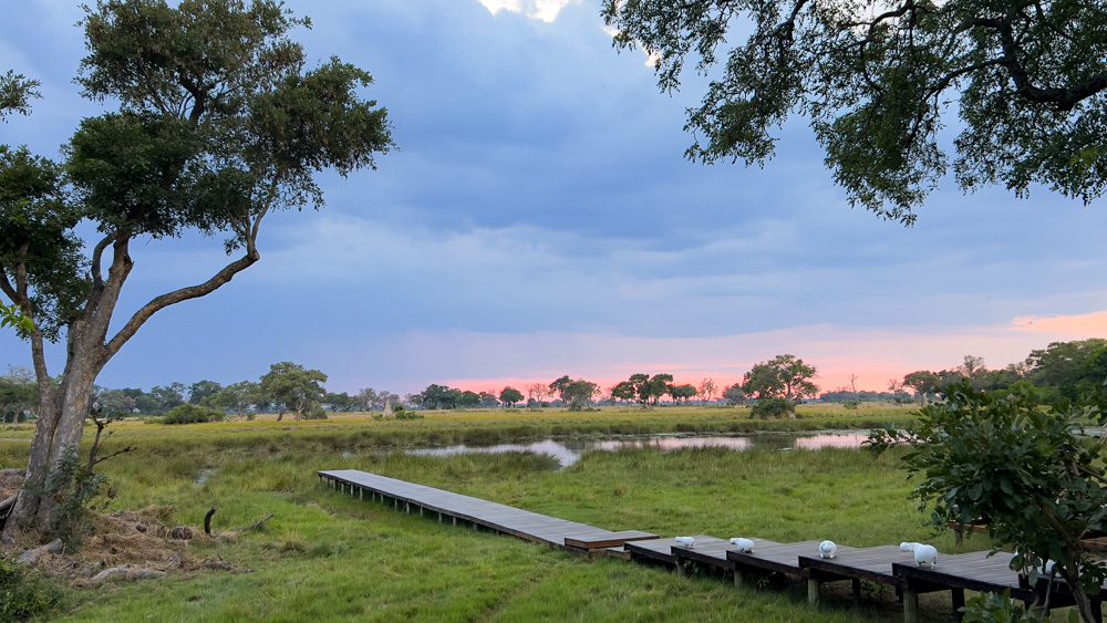 the jetty leading down to the lagoon with a pink and blue sky