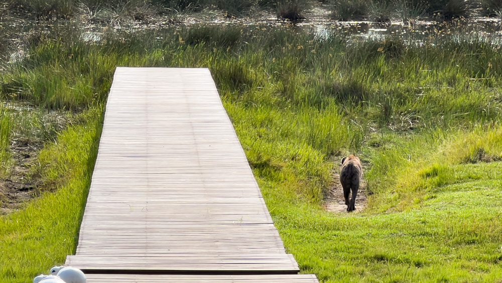 Xaranna Camp by Beyond 45