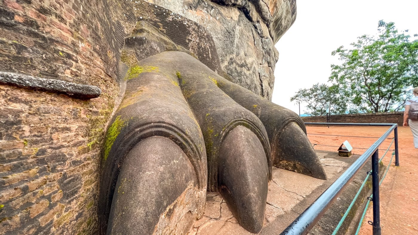 Close-up view of the Lion's Paw
